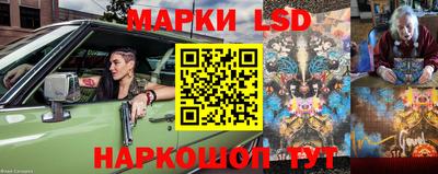 мдпв Кандалакша