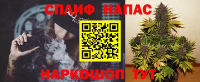 мдпв Кандалакша