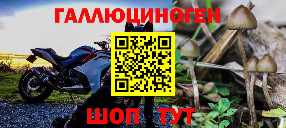 Галлюциногенные грибы GOLDEN TEACHER Новый Уренгой